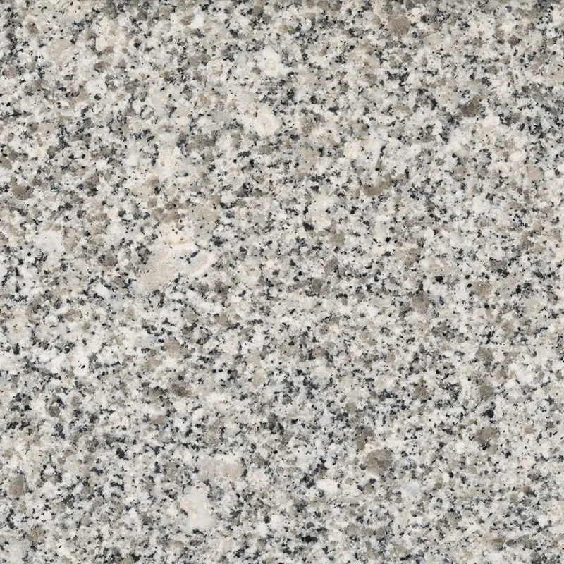 Pedras Salgadas granite sample